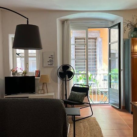 Apartamento Con Encanto Y Terraza En Barri Vell De Girona, El Cul De La Lleona Exterior foto