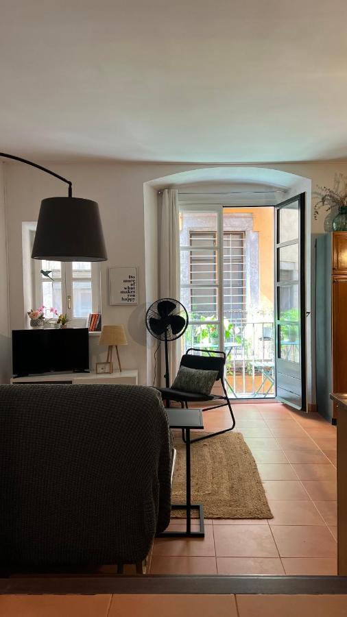 Apartamento Con Encanto Y Terraza En Barri Vell De Girona, El Cul De La Lleona Exterior foto