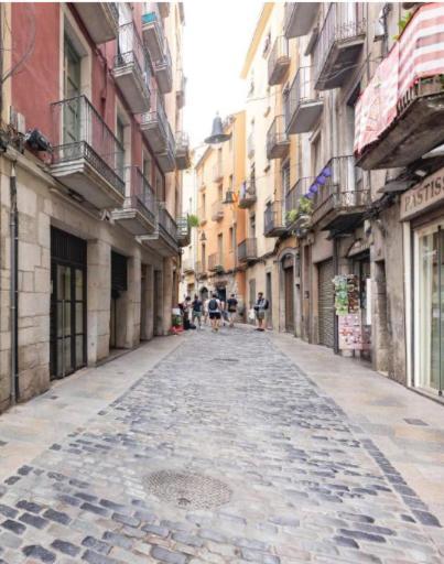 Apartamento Con Encanto Y Terraza En Barri Vell De Girona, El Cul De La Lleona Exterior foto